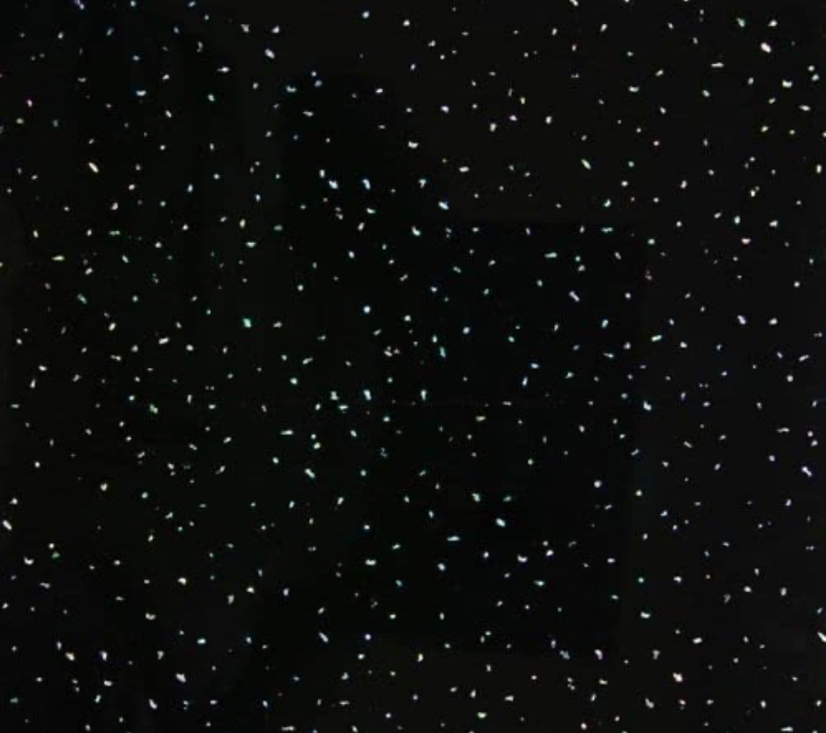 Black Laser Gloss - PVC Wet Wall Panels - 10mmX1mX2.4m